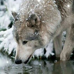 Meet your Posher, Skyler